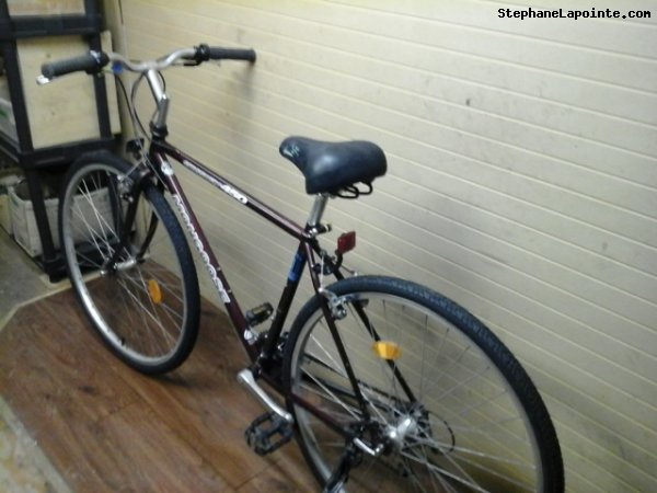 Vélo Mongoose Crossway 450 - StephaneLapointe.com