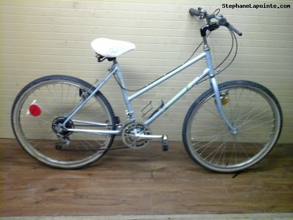 Vélo Skyline Tous - StephaneLapointe.com