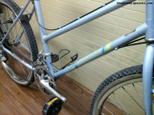 Vélo Skyline Tous - StephaneLapointe.com