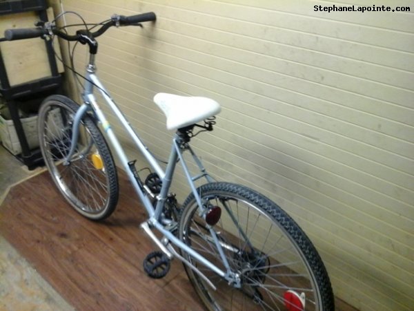 Vélo Skyline Tous - StephaneLapointe.com