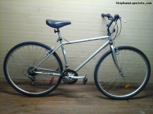 Vélo AVP Baladeur - StephaneLapointe.com