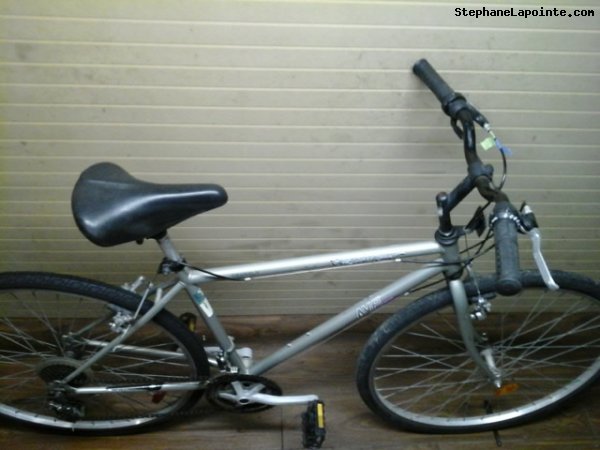 Vélo AVP Baladeur - StephaneLapointe.com