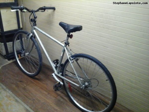 Vélo AVP Baladeur - StephaneLapointe.com