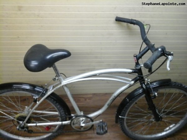 Vélo Triumph Mystique - StephaneLapointe.com