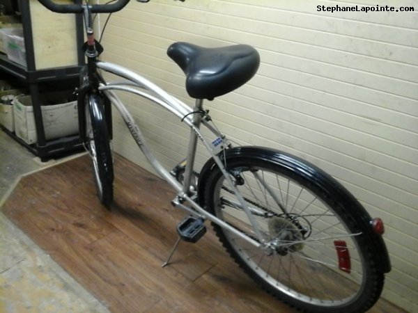 Vélo Triumph Mystique - StephaneLapointe.com