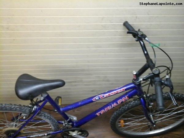 Vélo Triumph Laser 15 - StephaneLapointe.com