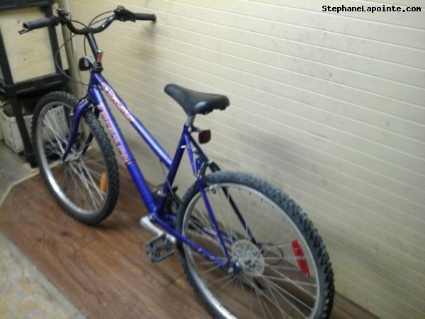 Vélo Triumph Laser 15 - StephaneLapointe.com