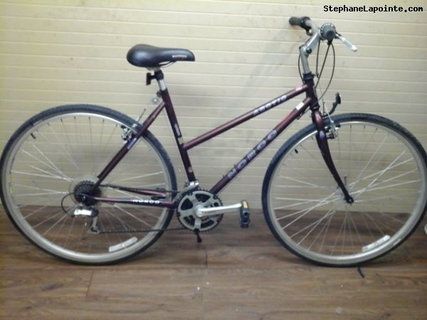Vélo Norco Arctic - StephaneLapointe.com
