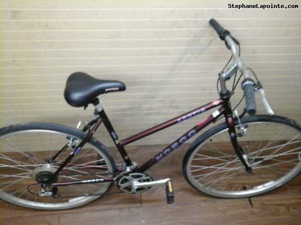 Vélo Norco Arctic - StephaneLapointe.com
