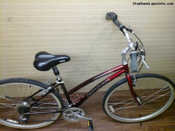 Vélo Specialized Crossroads - StephaneLapointe.com