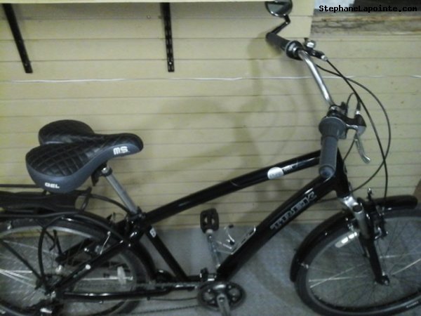 Vélo Trek Pure Sport - StephaneLapointe.com