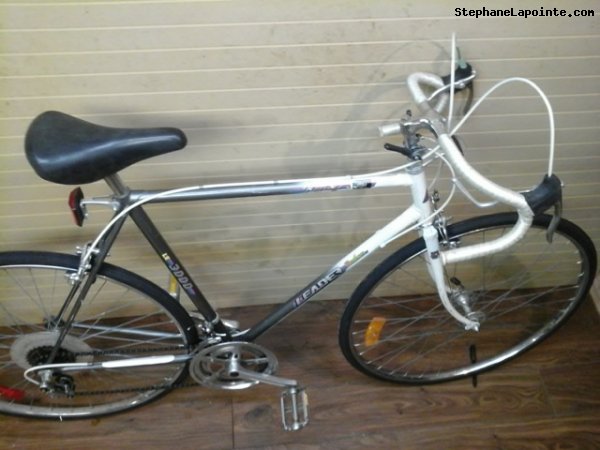 Vélo Leader LE 3000 - StephaneLapointe.com