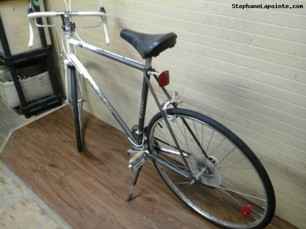 Vélo Leader LE 3000 - StephaneLapointe.com