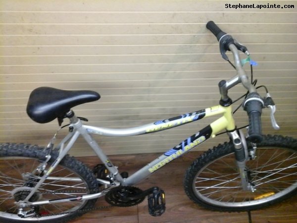 Vélo Northland Genetik - StephaneLapointe.com