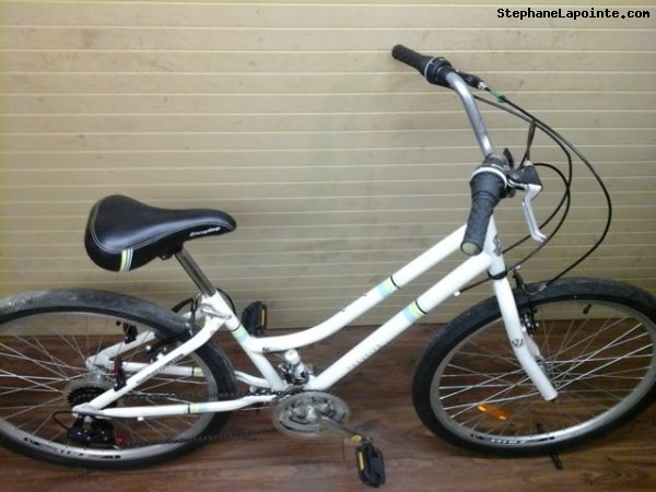 Vélo Everyday Traveler - StephaneLapointe.com