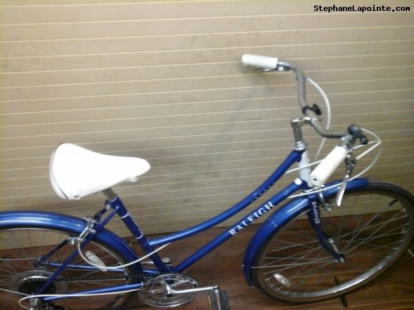 Vélo Raleigh Lenton - StephaneLapointe.com