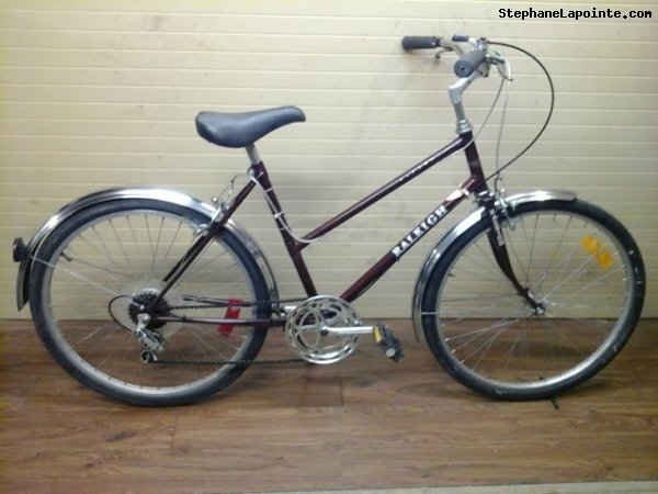 Vélo Raleigh Safari - StephaneLapointe.com