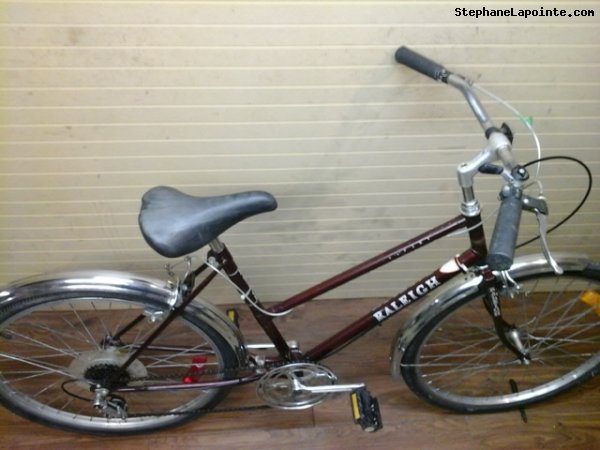 Vélo Raleigh Safari - StephaneLapointe.com
