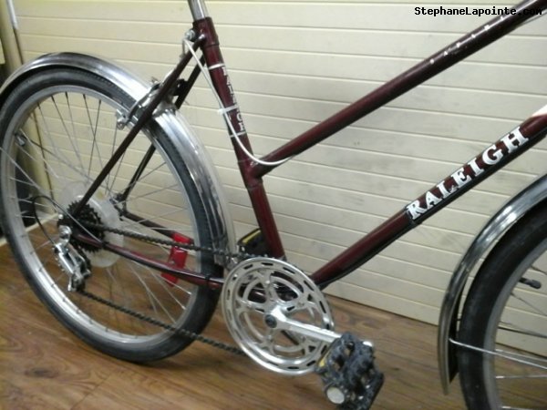 Vélo Raleigh Safari - StephaneLapointe.com