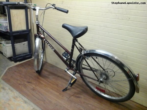 Vélo Raleigh Safari - StephaneLapointe.com