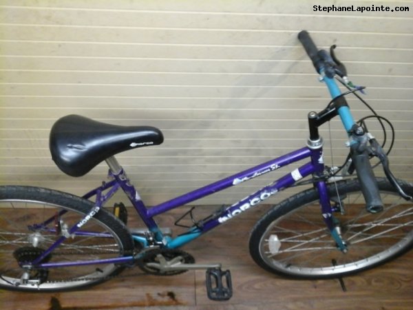 Vélo Norco Mountaineer SL - StephaneLapointe.com