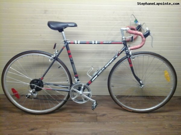 Vélo Velo Sport Courrier 12 - StephaneLapointe.com