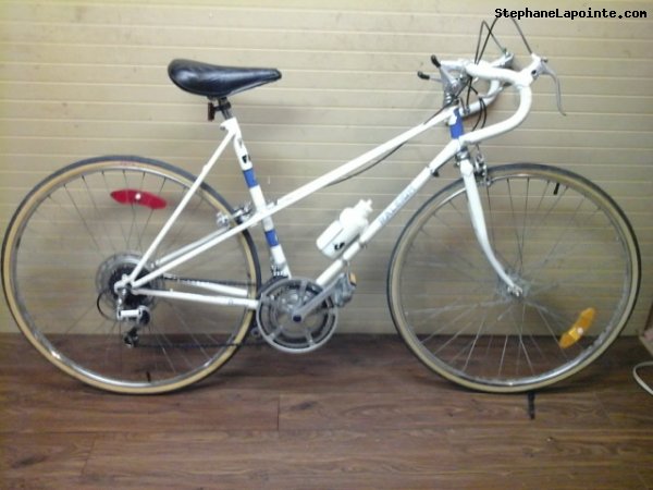 Vélo Raleigh Record - StephaneLapointe.com