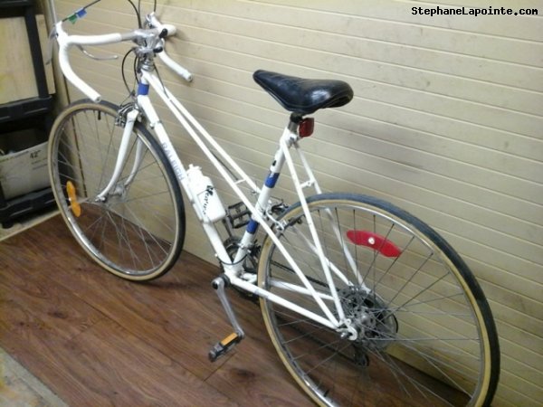 Vélo Raleigh Record - StephaneLapointe.com