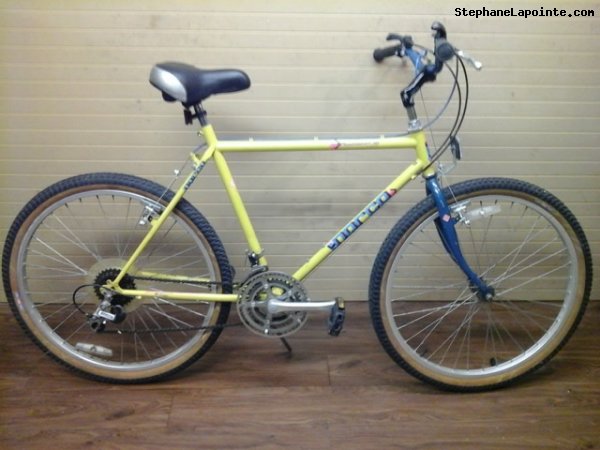 Vélo Norco Mountaineer SL - StephaneLapointe.com