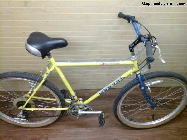 Vélo Norco Mountaineer SL - StephaneLapointe.com