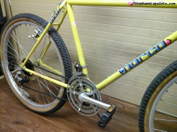 Vélo Norco Mountaineer SL - StephaneLapointe.com