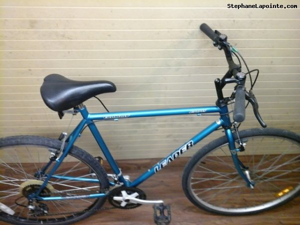 Vélo Leader LE 70745 - StephaneLapointe.com