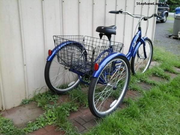 Vélo Schwinn Tricycle - StephaneLapointe.com