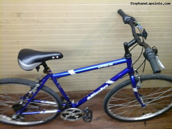 Vélo Miele Umbria - StephaneLapointe.com