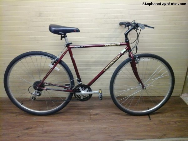 Vélo Specialized Crossroads - StephaneLapointe.com