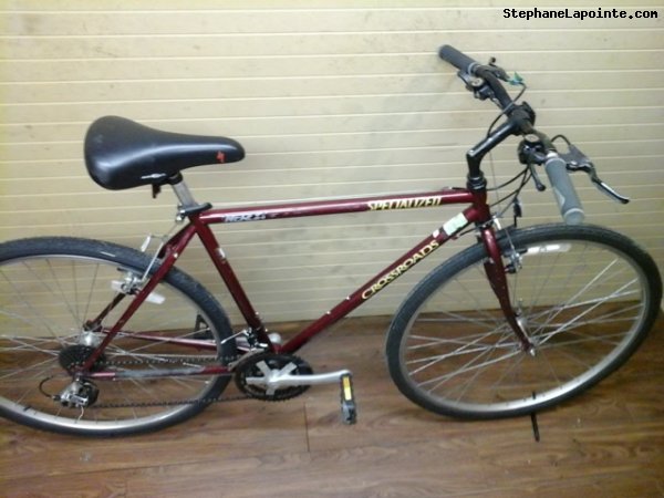 Vélo Specialized Crossroads - StephaneLapointe.com