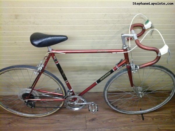 Vélo Raleigh Grand Prix - StephaneLapointe.com