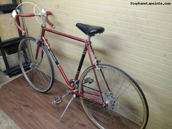 Vélo Raleigh Grand Prix - StephaneLapointe.com