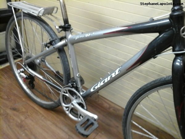 Vélo Giant Cypress - StephaneLapointe.com