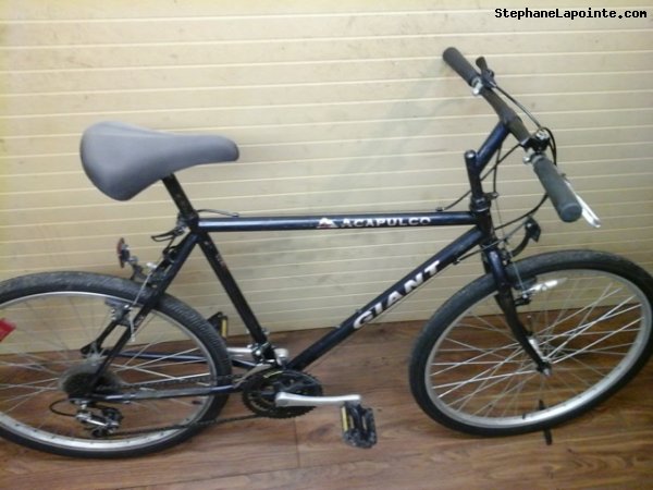 Vélo Giant Acapulco - StephaneLapointe.com