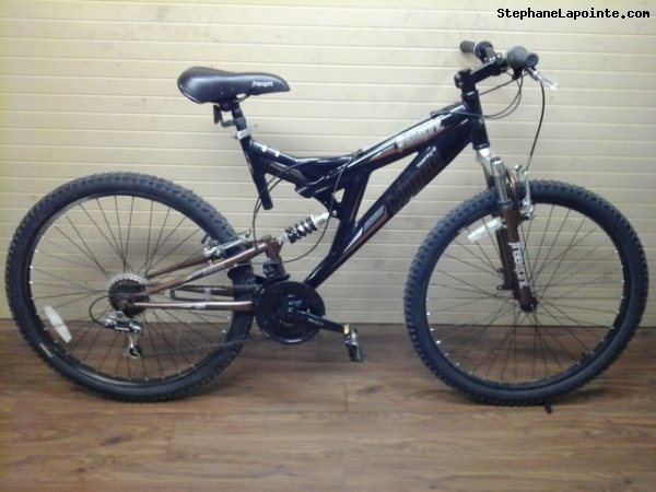 Vélo Free Spirit Merge - StephaneLapointe.com