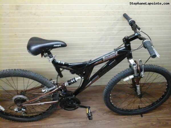 Vélo Free Spirit Merge - StephaneLapointe.com