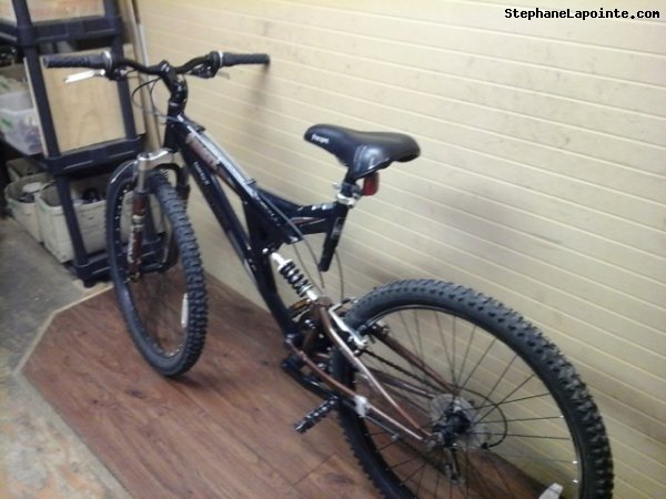 Vélo Free Spirit Merge - StephaneLapointe.com