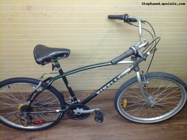 Vélo Minelli Boomer - StephaneLapointe.com