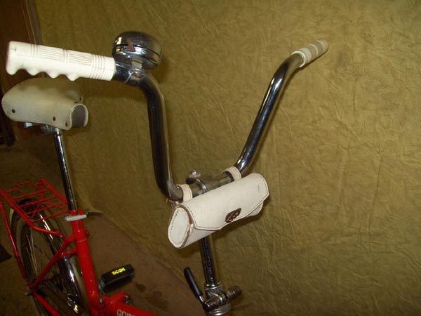 Vélo Road King Porta Bike - StephaneLapointe.com