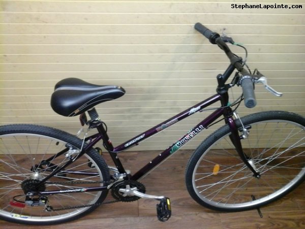 Vélo Minelli Mojave - StephaneLapointe.com