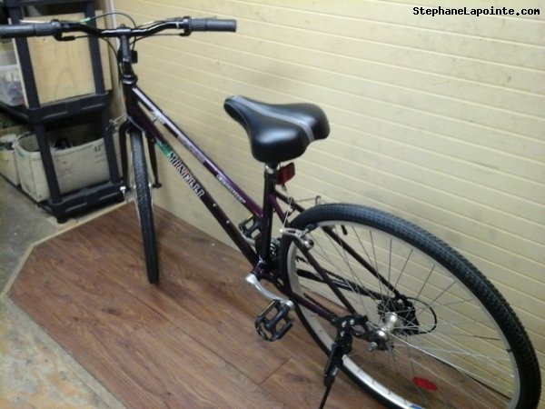 Vélo Minelli Mojave - StephaneLapointe.com