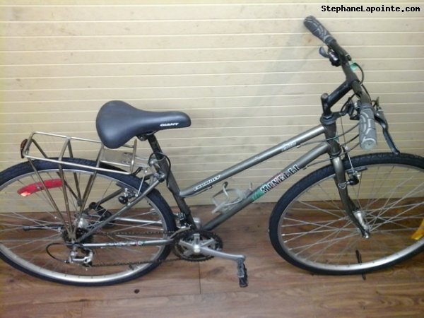 Vélo Minelli Prestige - StephaneLapointe.com