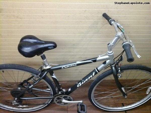 Vélo Giant Cypress - StephaneLapointe.com