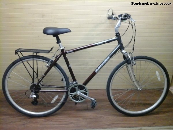 Vélo Miele Tivoli - StephaneLapointe.com